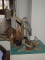 musher a zamek 140
